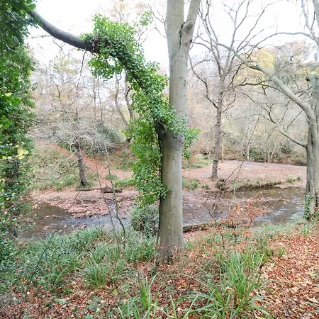 Snowdrop * Saltburn-by-the-Sea