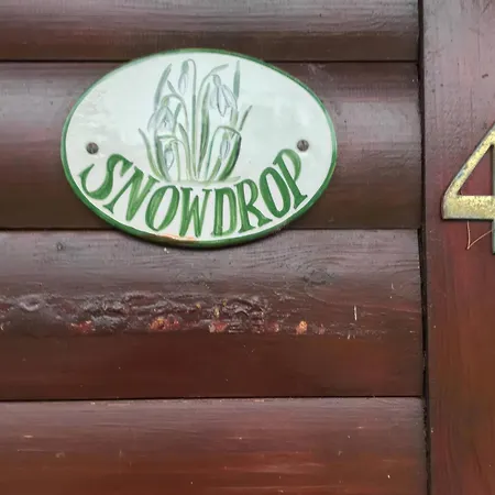 Snowdrop Saltburn-by-the-Sea
