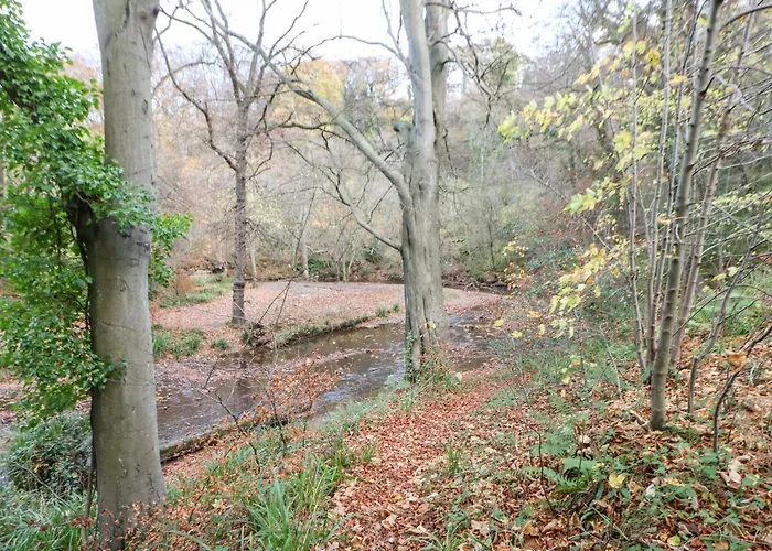 Snowdrop Saltburn-by-the-Sea
