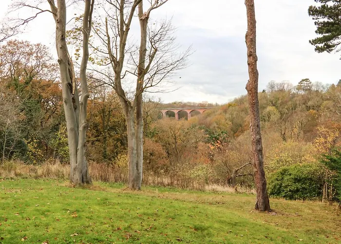 Snowdrop Hébergement de vacances Saltburn-by-the-Sea
